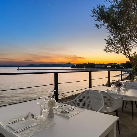 Palmariva エレトリア