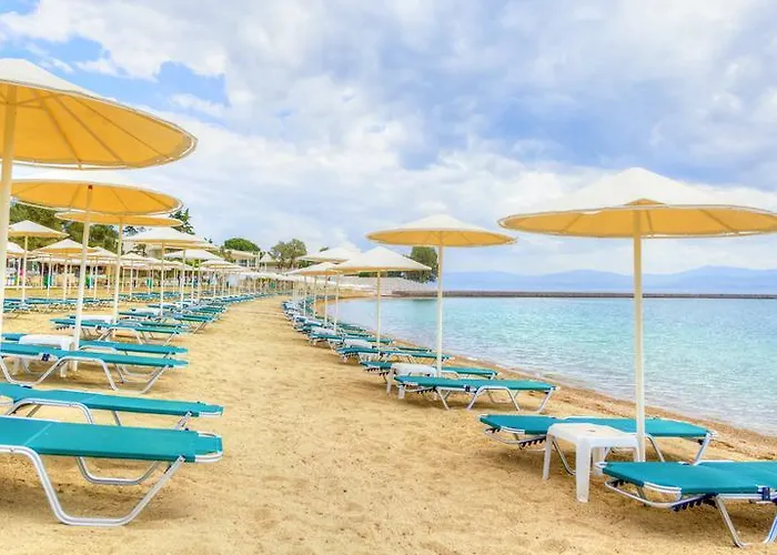 Palmariva Eretria (Evia)